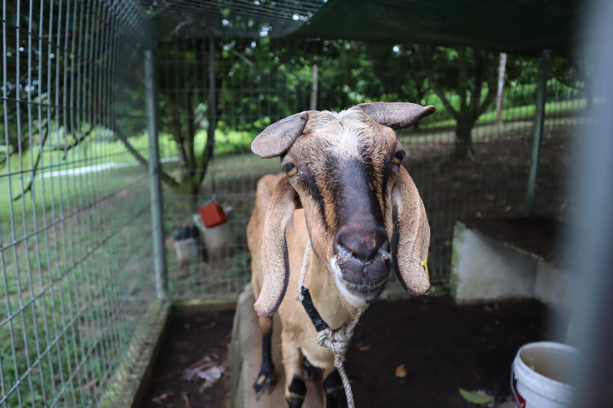 479331591_637580525463285_7976856057250761201_n