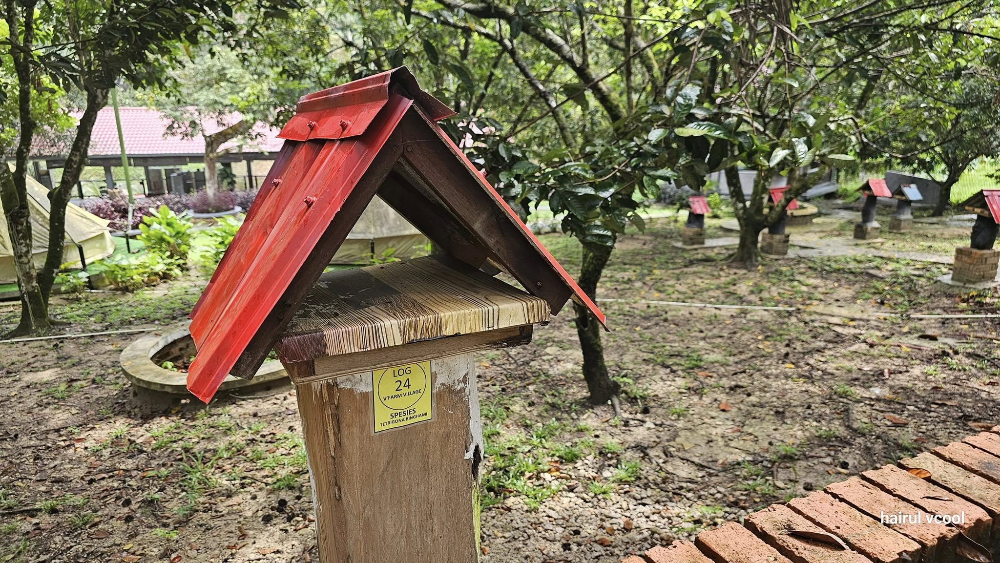 480960750_649093310978673_7520307439977954291_n