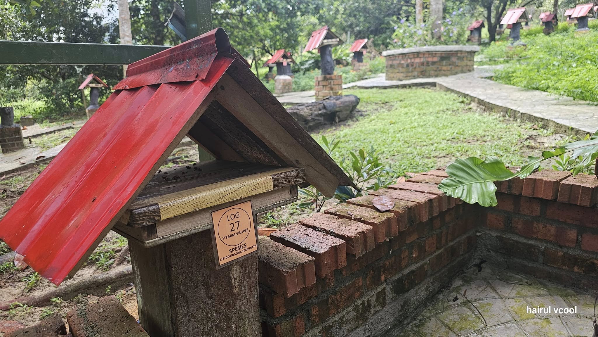 480992829_649093154312022_3816894636749193501_n