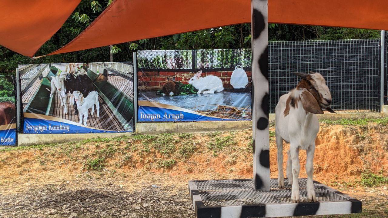 481062259_653343217220349_8745654848510041726_n