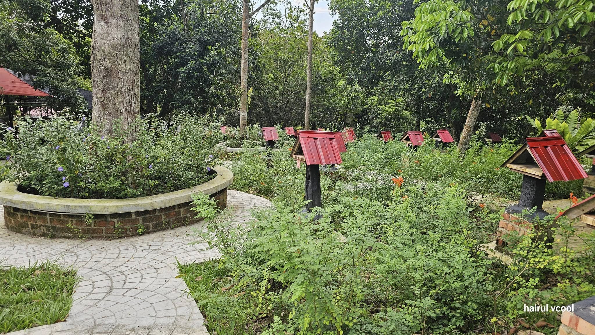 481076145_651938347360836_7419638535693861532_n