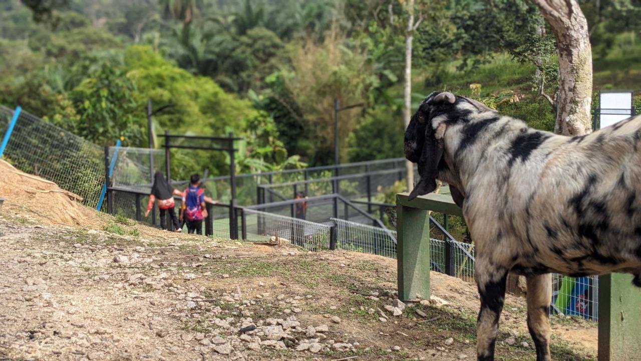 481076677_653343243887013_4818556530830464743_n