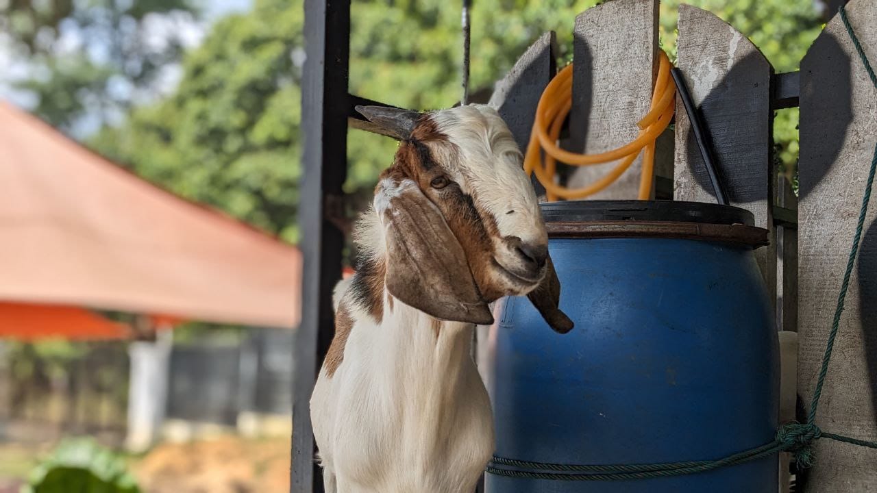 481081231_653327430555261_4630057938253493232_n