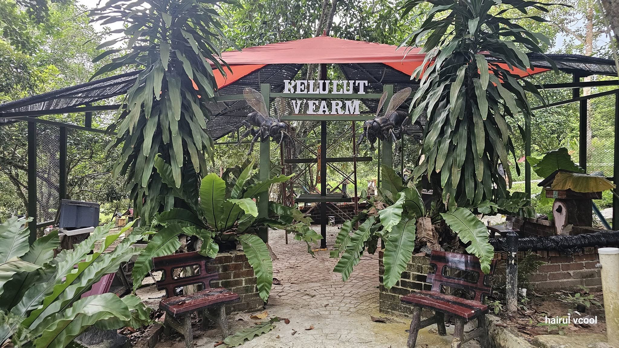 481676292_651938354027502_8196176443175264948_n