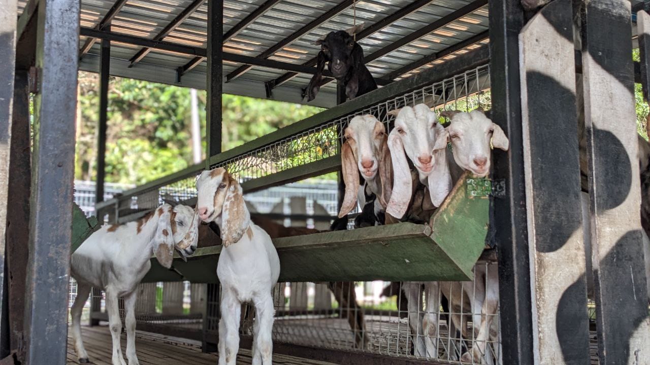 482212432_653327397221931_7539314913285128062_n