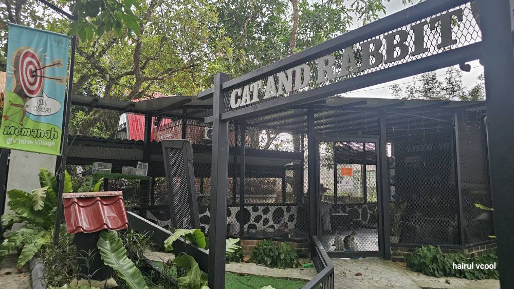 494679091_694429053111765_8457343912558175469_n