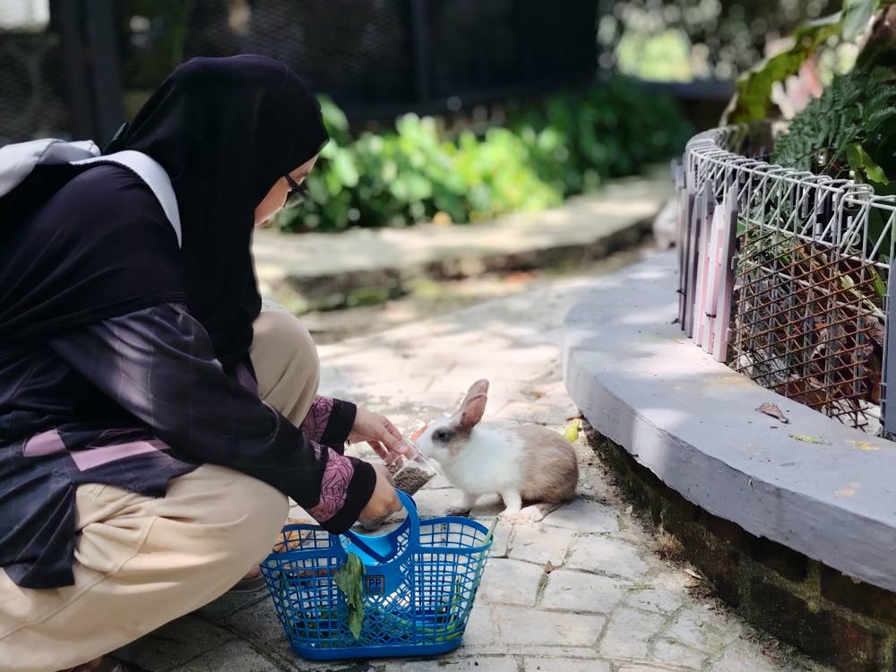 495211261_696540979567239_1041972072182458870_n