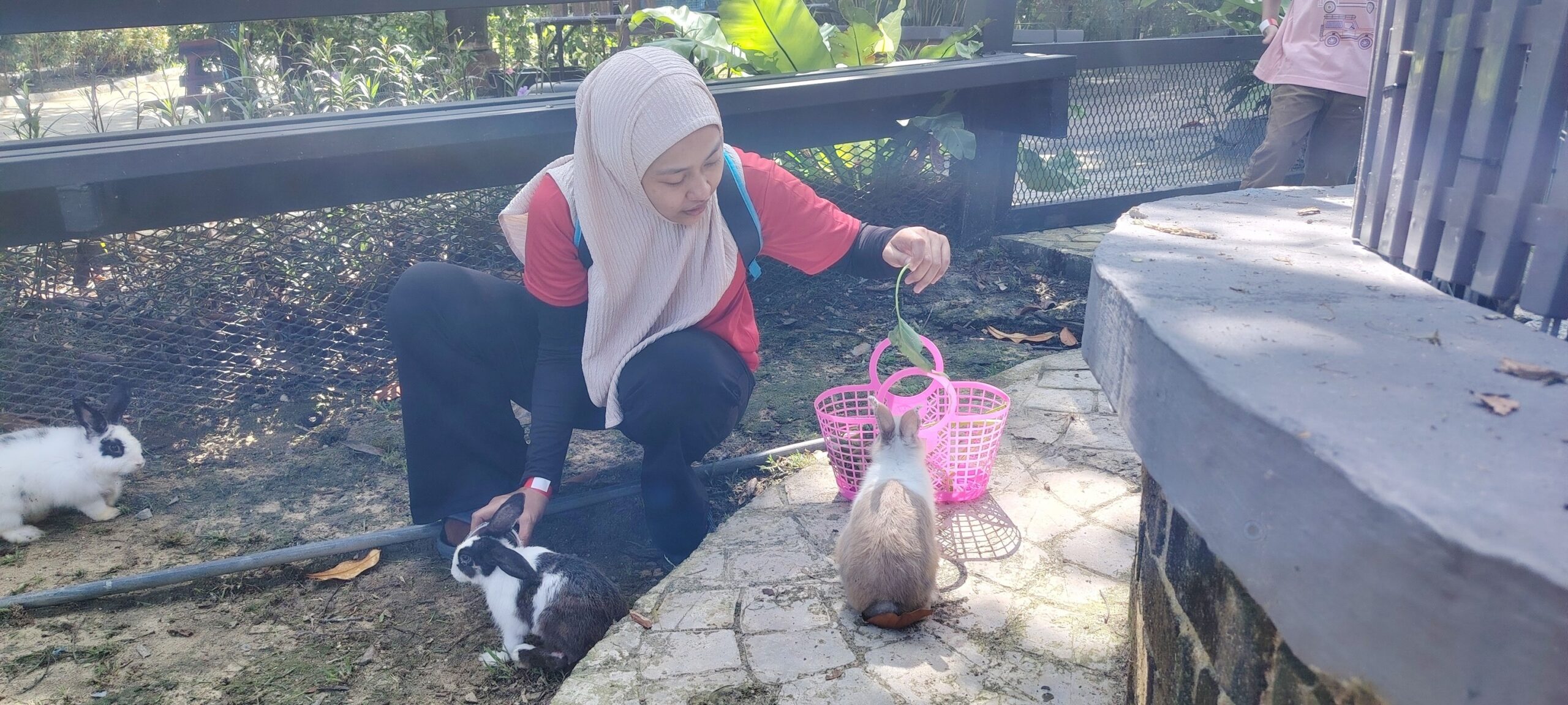 495218766_696541222900548_2209736993819373848_n