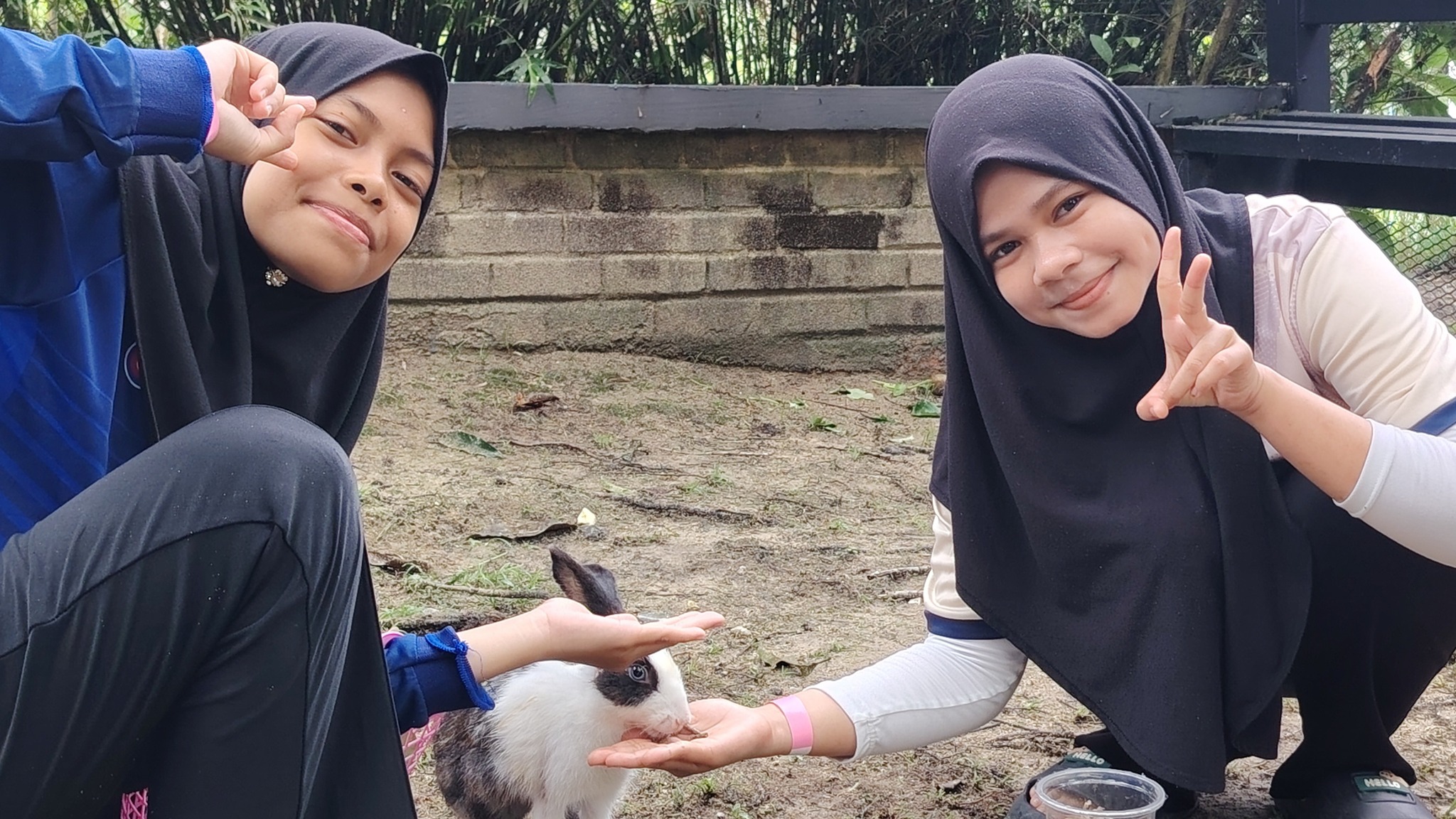 495372498_697322119489125_3777172845616750187_n