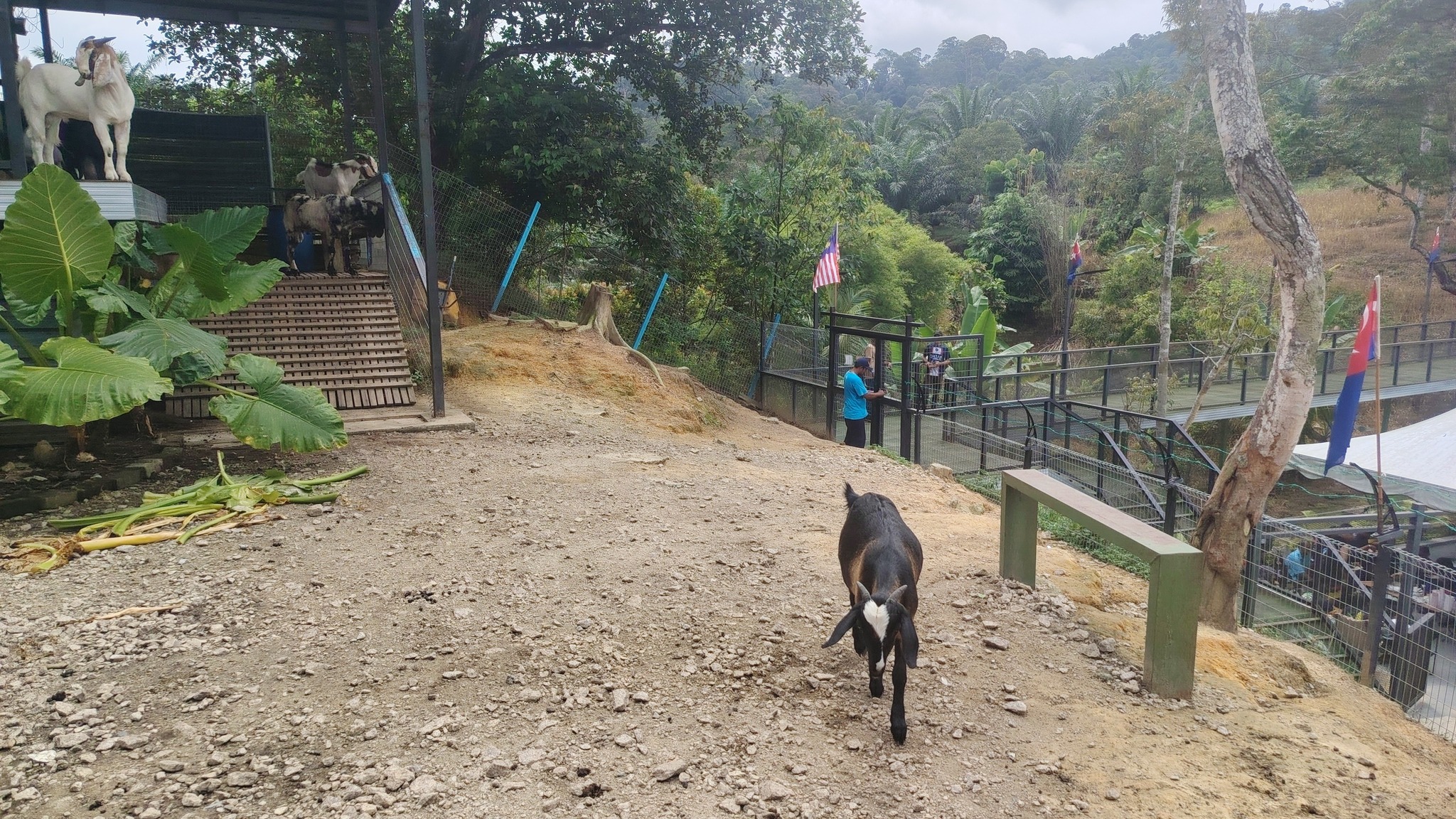 547477946_798773102677359_6269062757512863518_n