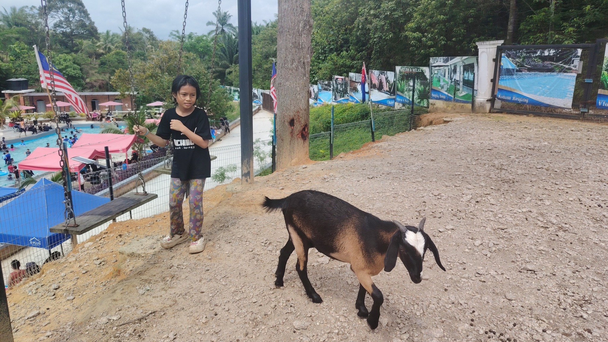 548625720_798773079344028_1282456256081666139_n